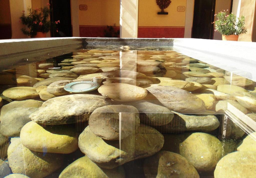 Hotel Boutique Las Palomas De Santiago Pueblo Magico Екстериор снимка